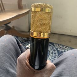 Gold & Black Condenser Microphone