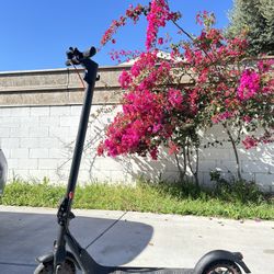 Electric scooter