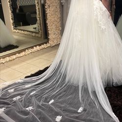Long Ivory Veil 
