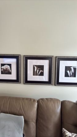 Three framed flower pictures