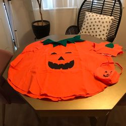 Pumpkin Halloween Costume  New