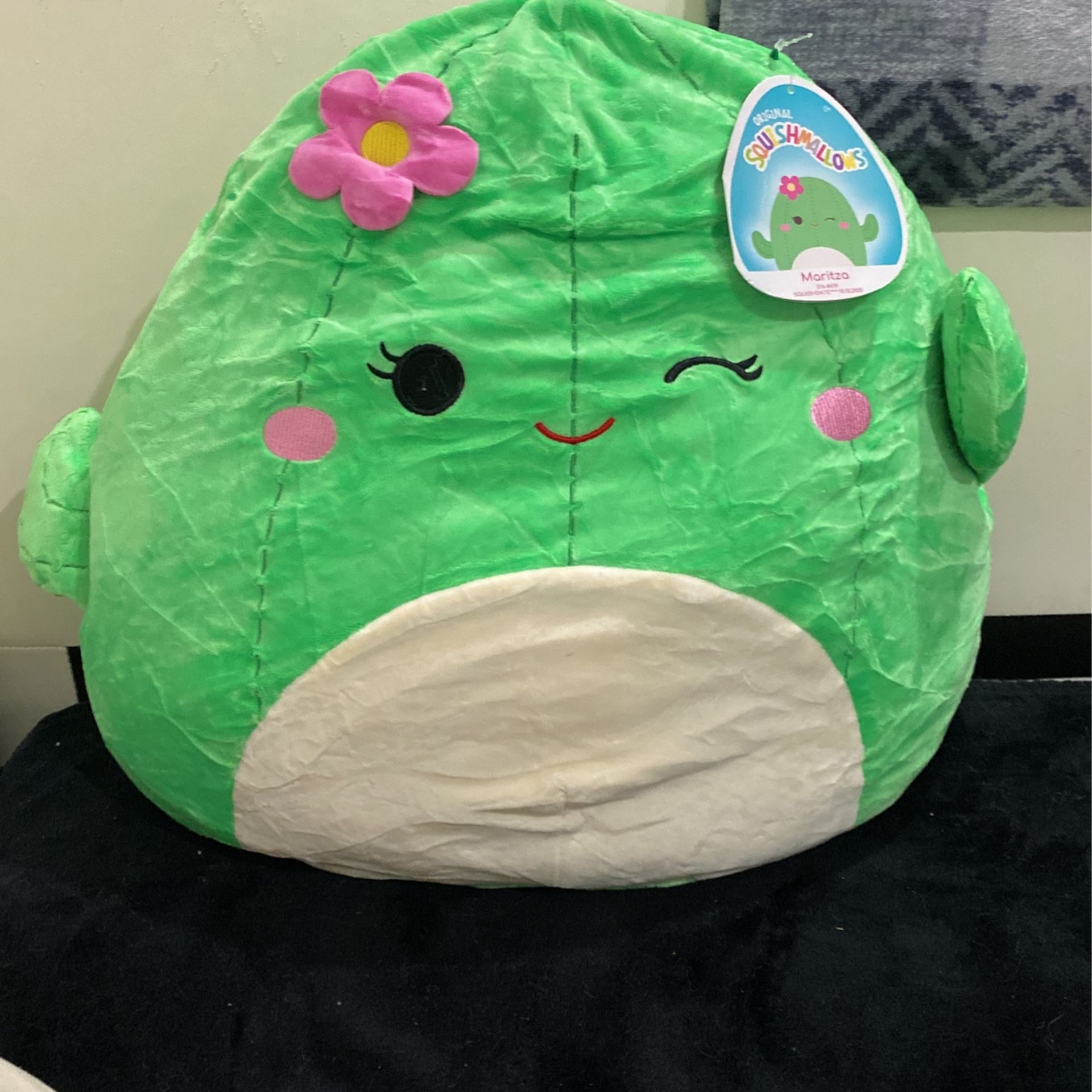 Cactus Squishmallow