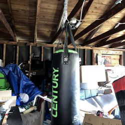 Boxing Bag With Gloves 