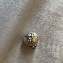 Pandora Charms 