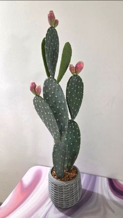 *** NEW LOW PRICE *** 40" Faux Cactus in a Gray Resin Planter @ Lasting Creations
