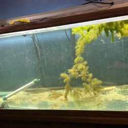 75 Gallon Oceanic Aquarium Tank And Stand 