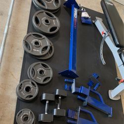 PRO OB|600 300LBS Weight Set