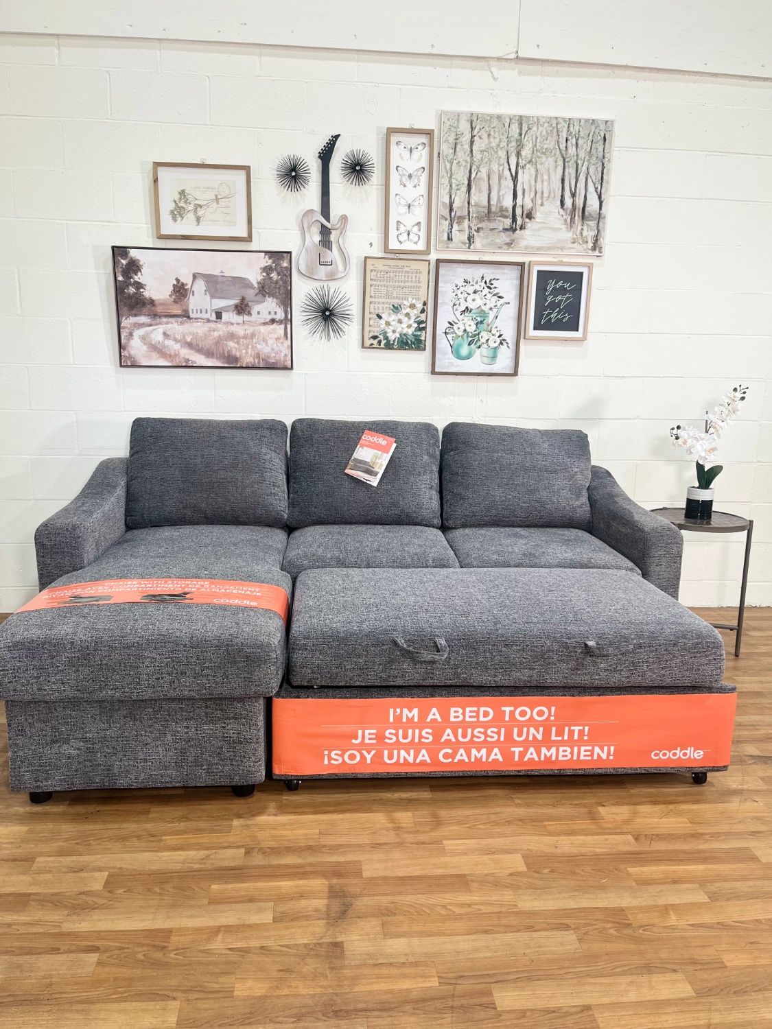 Coddle Aria Gray Fabric Sleeper Sofa w/ Storage | Free Delivery