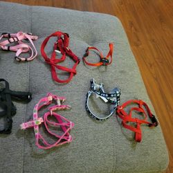 dog harness