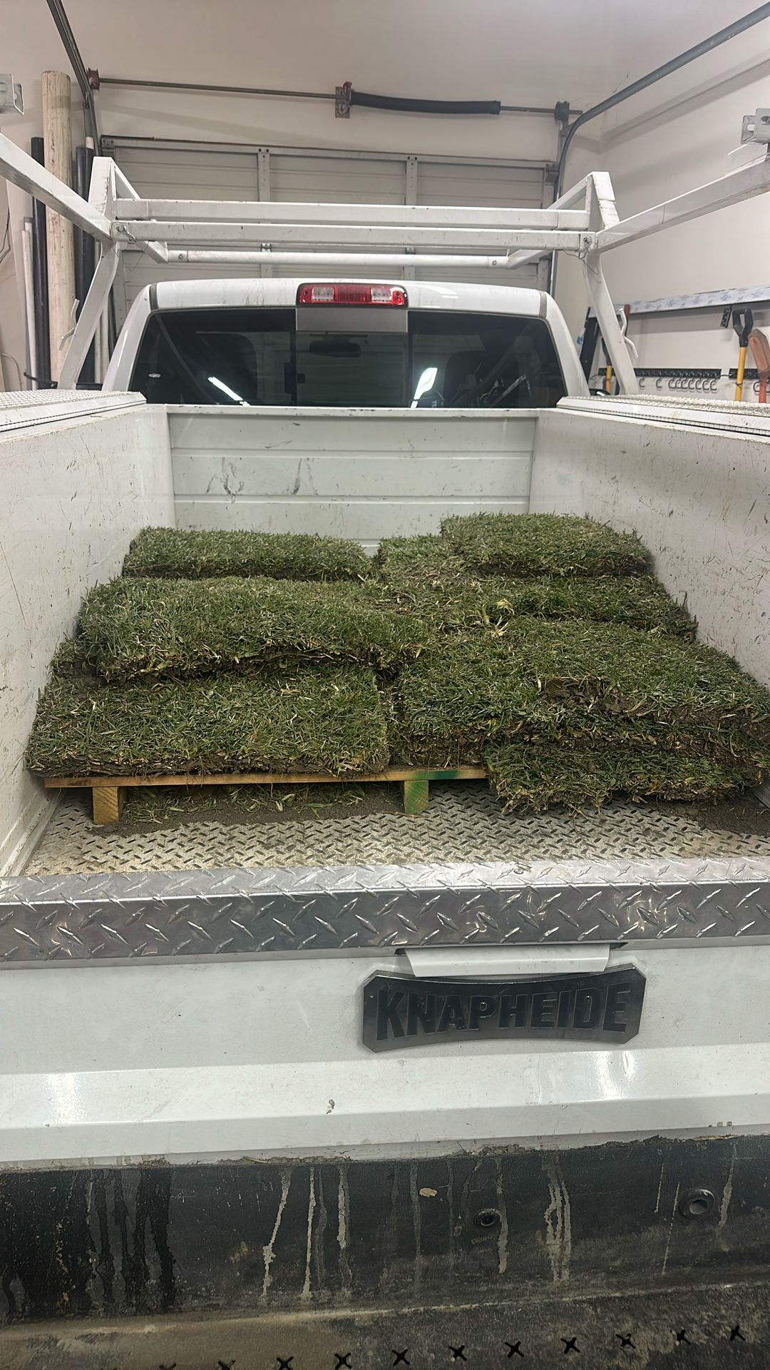 At Augustine Grass Sod