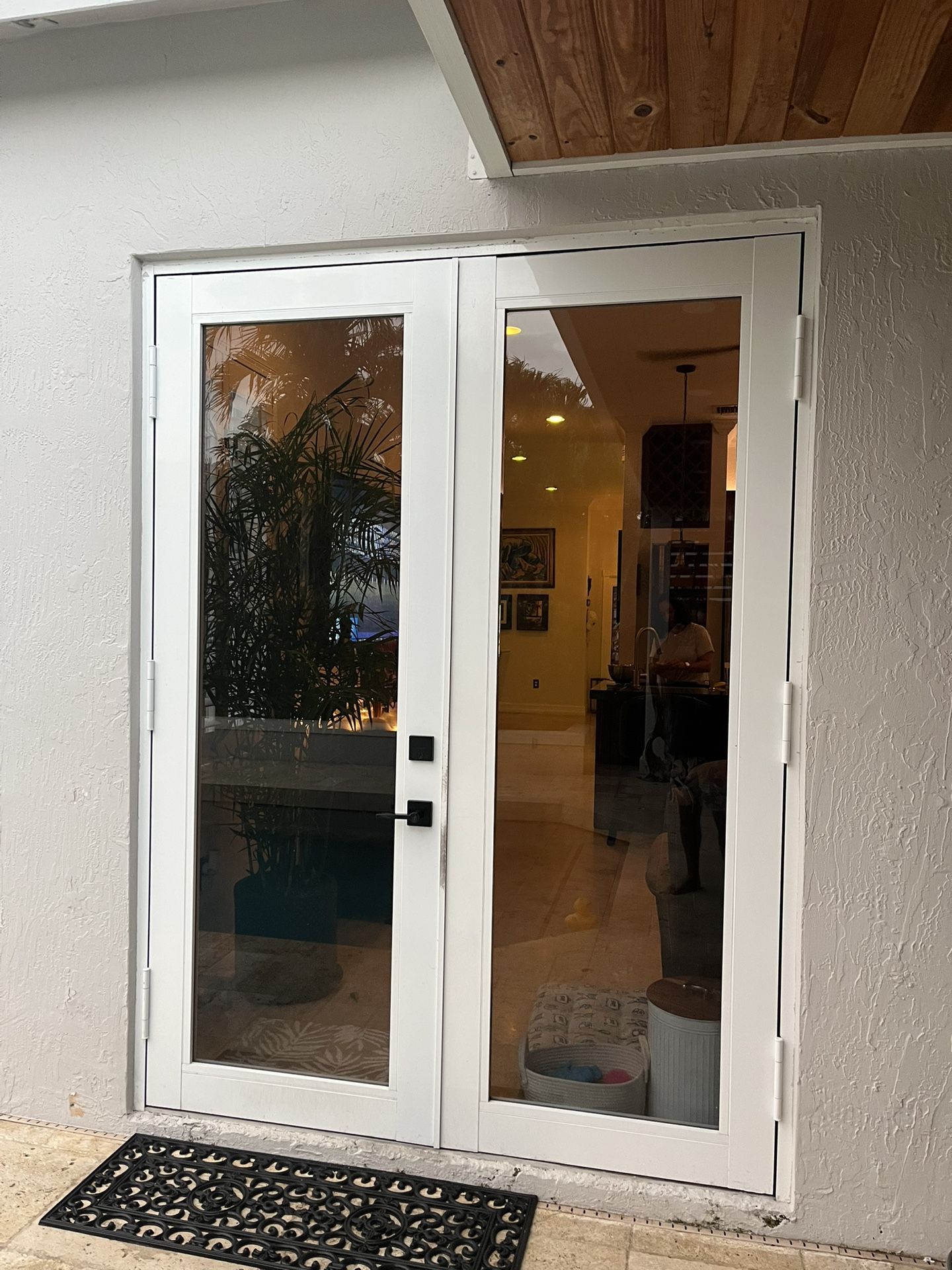 Impact French Exterior Door (Used)