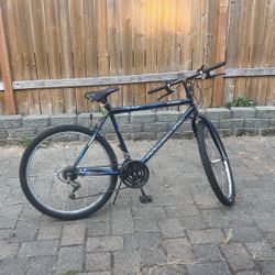 15 SPEED MT FURY ROADMASTER MOUNTAIN BIKE for Sale in