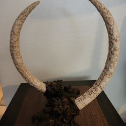 Hand Carved Bovine Bone On Wooden Chinese Foo Dogs