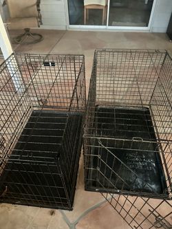 Wire Dog Crates with Trays – Set of 2