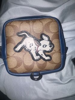 Dalmation Coach bag/wallet