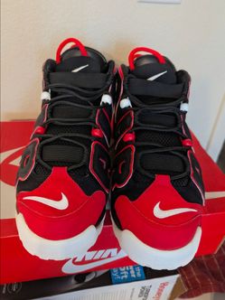 Scottie pippen Nike Air