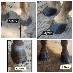 Farrier Herrador