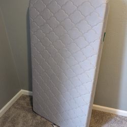 Newton Dual Layer Crib Mattress