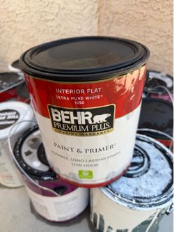 Free Paint