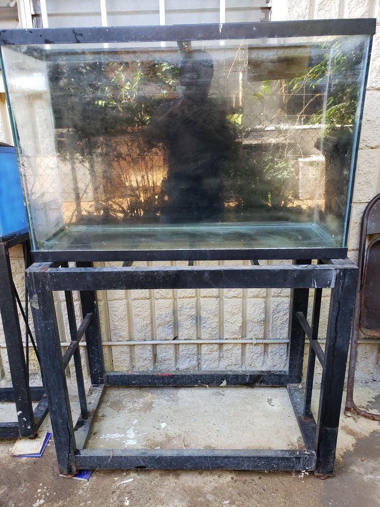 40gal fish tank with stand