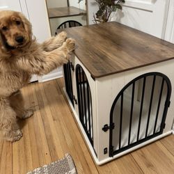 Dog Crate