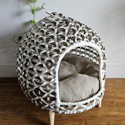Super Cute Cat House