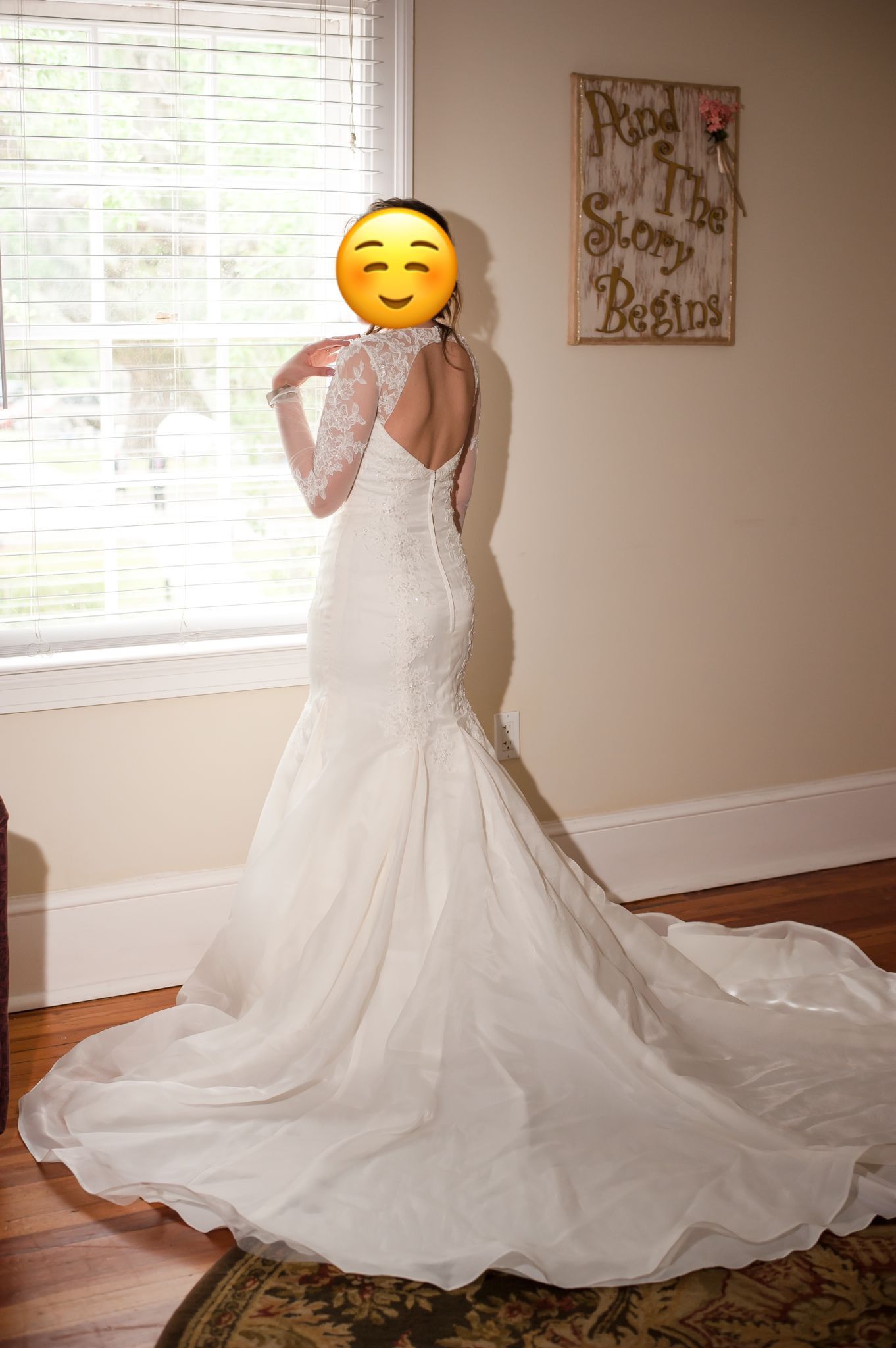 DAVID'S BRIDAL SLEEVE WEDDING DRESS