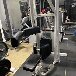 Cybex Torso Rotation Machine / Abs/ Obliques