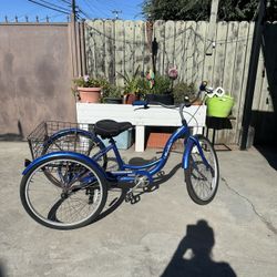 Schwinn Meridian Bike