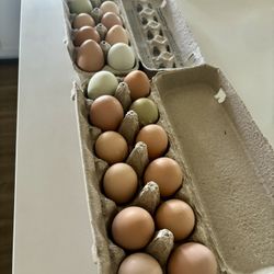 ORGANIC FREE RANGE EGGS