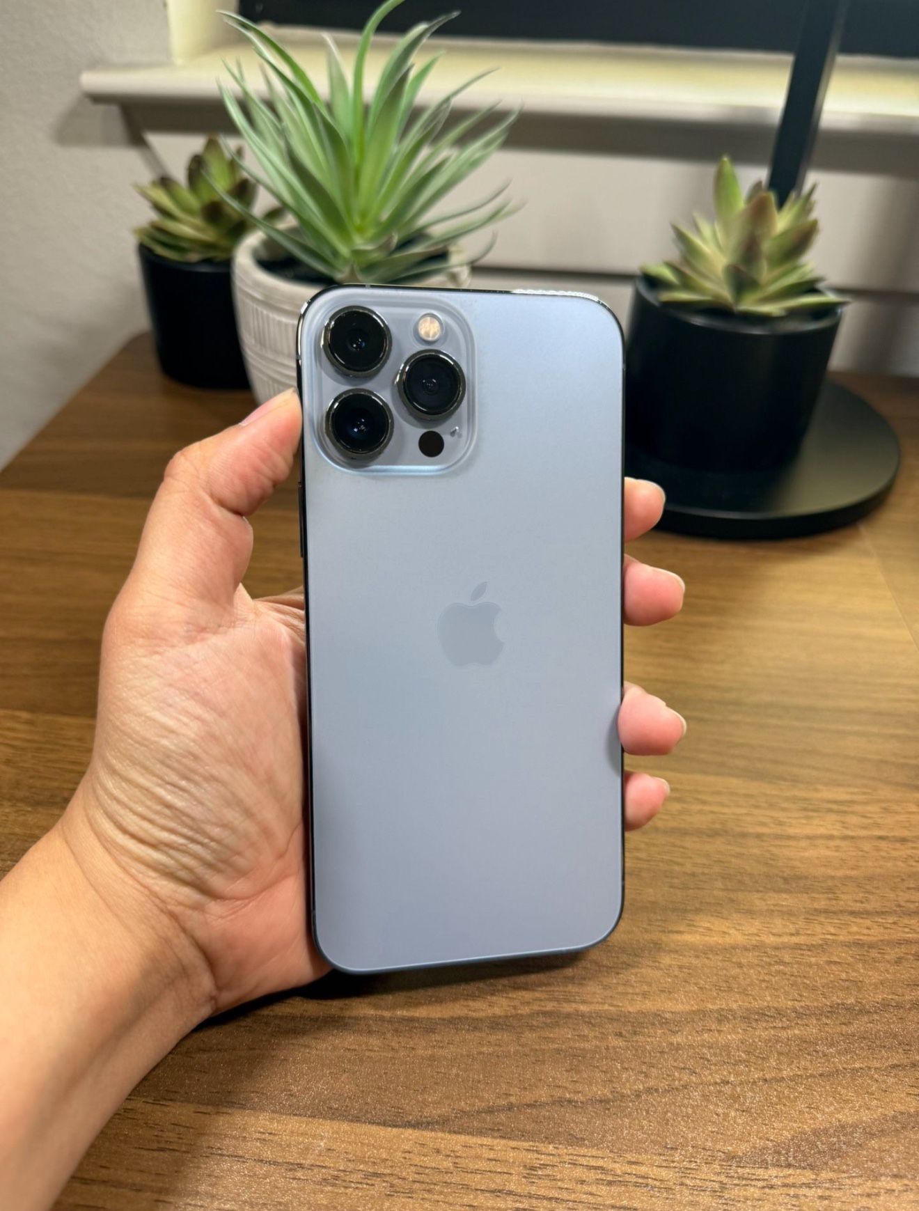 iPhone 13 Pro Max (Factory Unlocked)