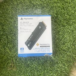 Playstation  5 Hard drive Western Digital WD_BLACK SN850P 2TB M.2  NVMe Internal SSD (WDBBYV0020BNC-WRSN)