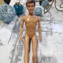 Barbie Ken