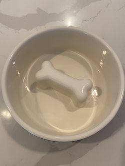 Dog Bowl Ceramic Slow Feeder (Crate & Barrel -Large)