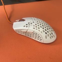 Final mouse Capetown