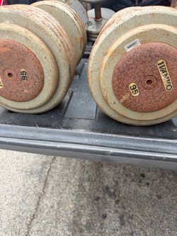 95 pound dumbbell pair
