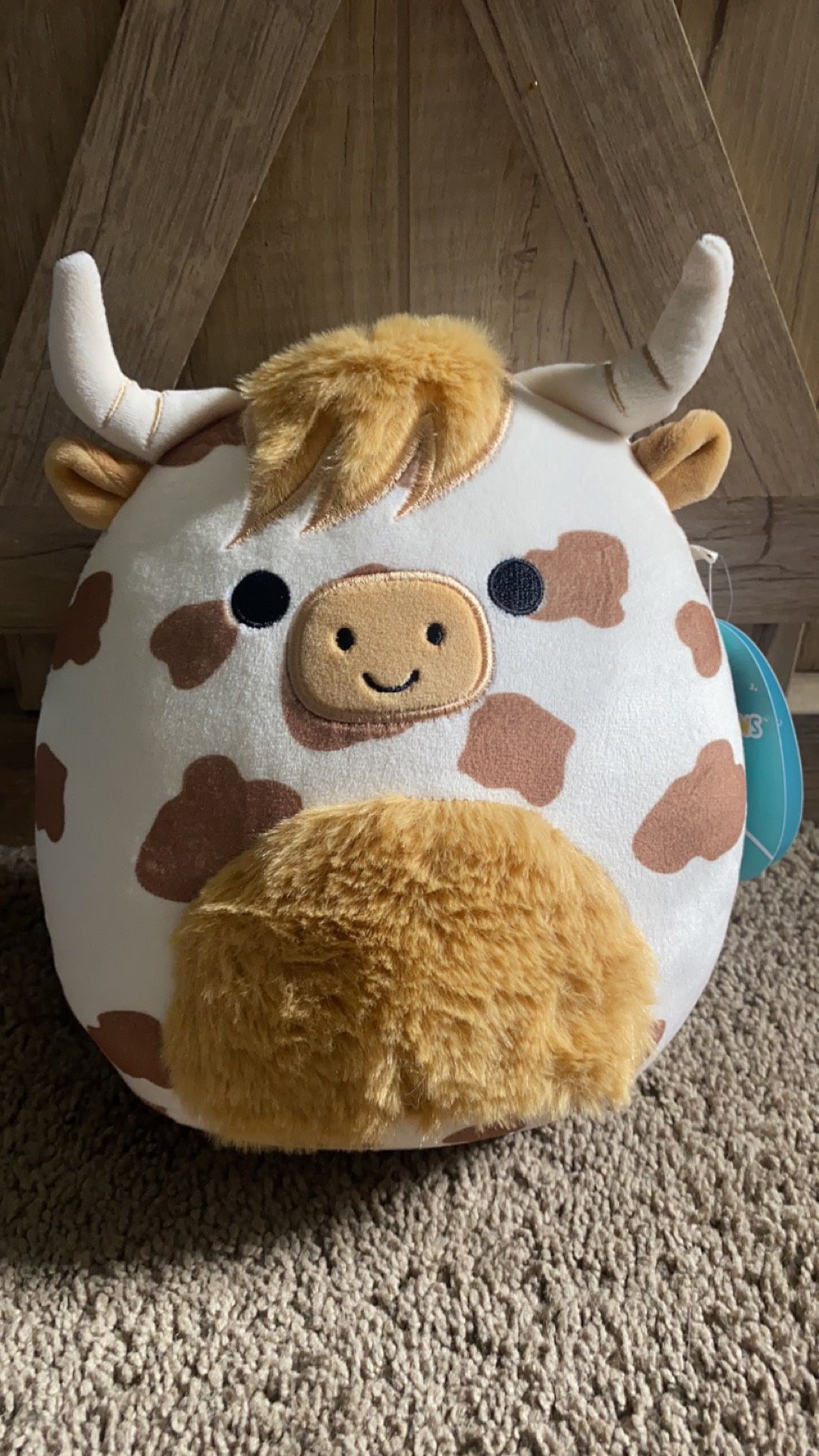 Alonzo Highland Cow Squishmallow