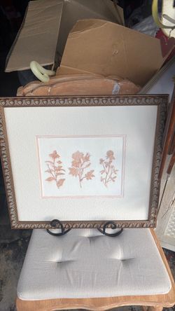 Vintage botanical plant framed  picture $