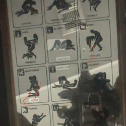 Zodiac Sign Position Mirror
