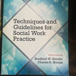 Techniques And Guidelines For Social Work Practice ( 10th Edition)