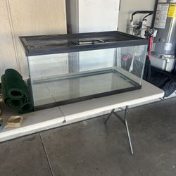 Terrarium - 40 Gallon Plus All Supplies 