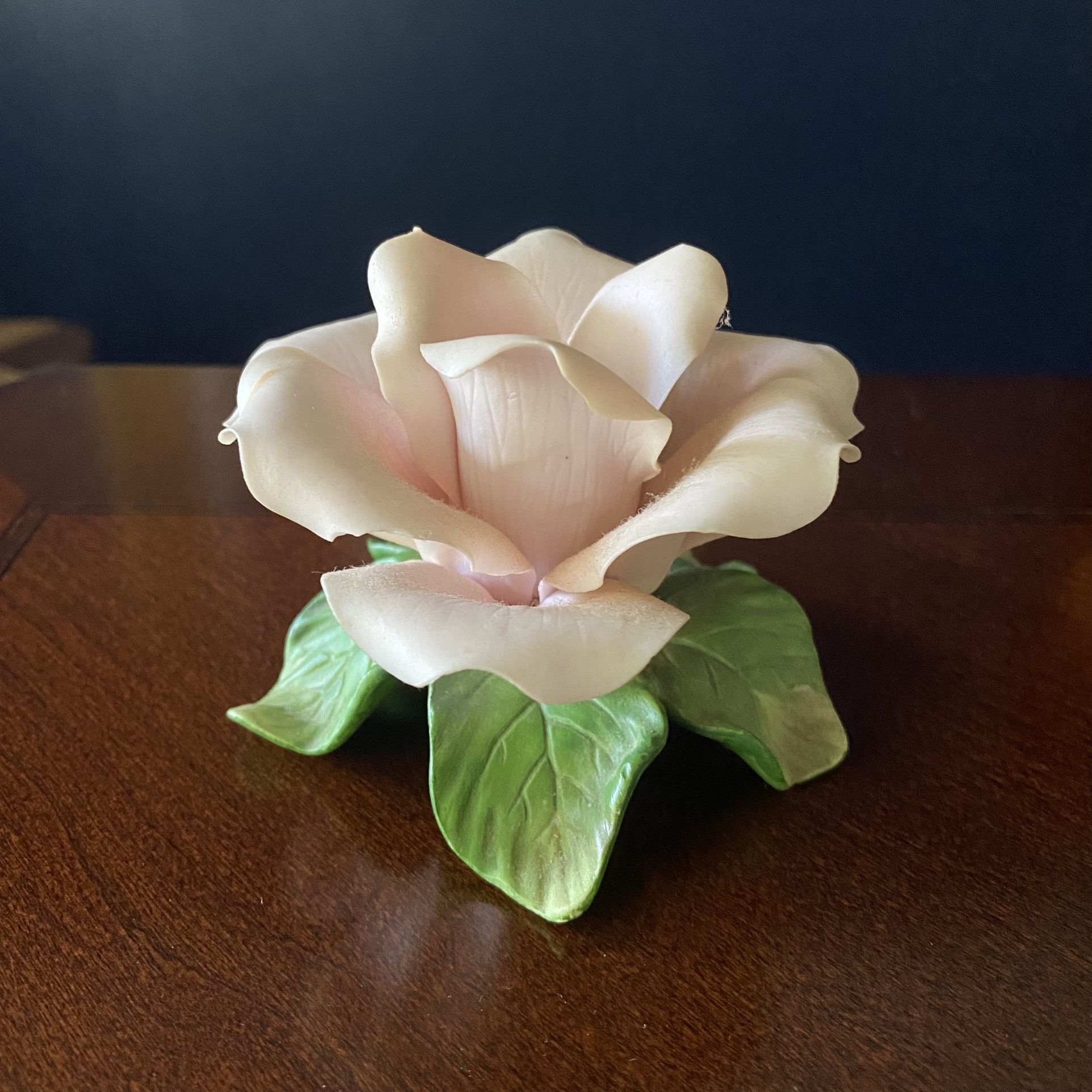 Porcelain Pink Rose
