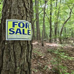 Lots  For Sale 
