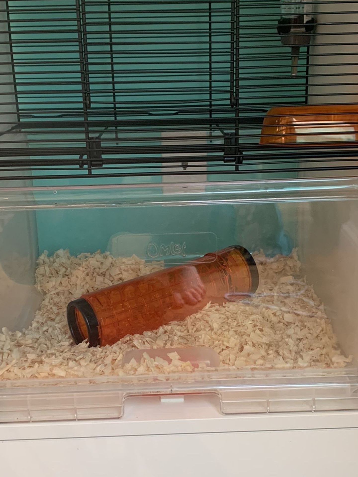 Hamster/ Small Animal Habitat