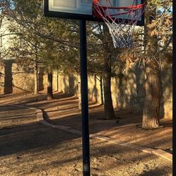 Basketball Court