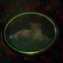 Ion Cub Oil Painting By Jay Williams