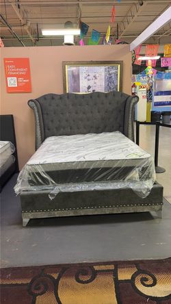 Queen Bed with Orthopedic Mattress