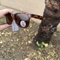 Rayban Sunglasses Polarized $20