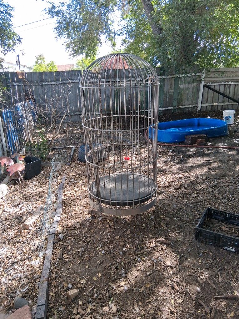 Parrot Cage