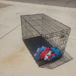 Dog Kennel 